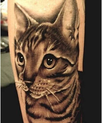 Ramón on Twitter Fredão Oliveira gt Bengal Cat tattoo ink art  httpstcoCUvEmE3tNF  X