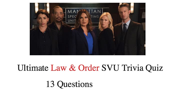 law & order svu on netflix